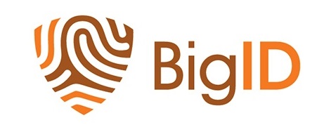 BigID logo