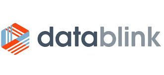 DataBlink logo